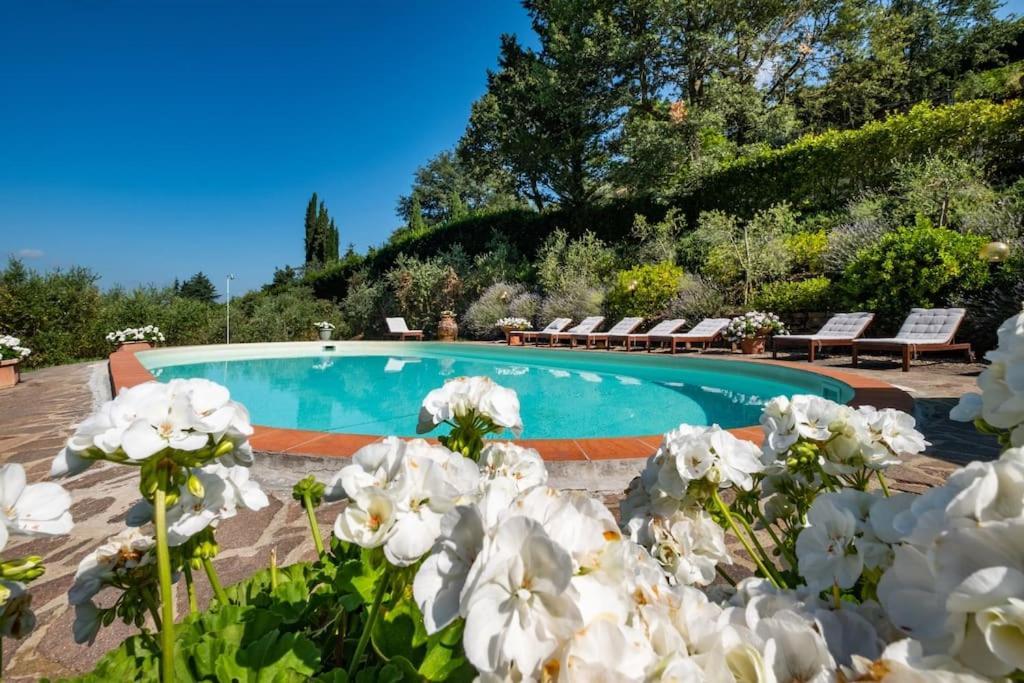 Apartament Casa Adriano Greve in Chianti Zewnętrze zdjęcie